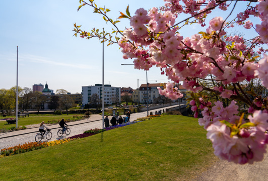 Svensk Handel driver handelns frågor i hela landet