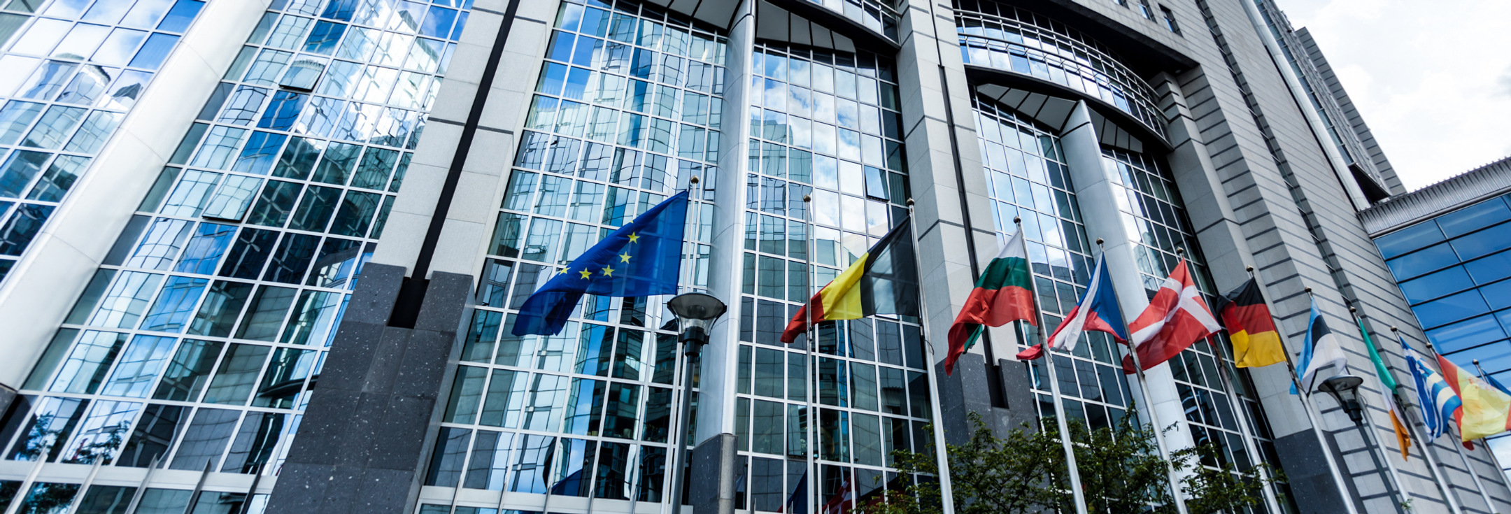 Rimliga lagar och regler