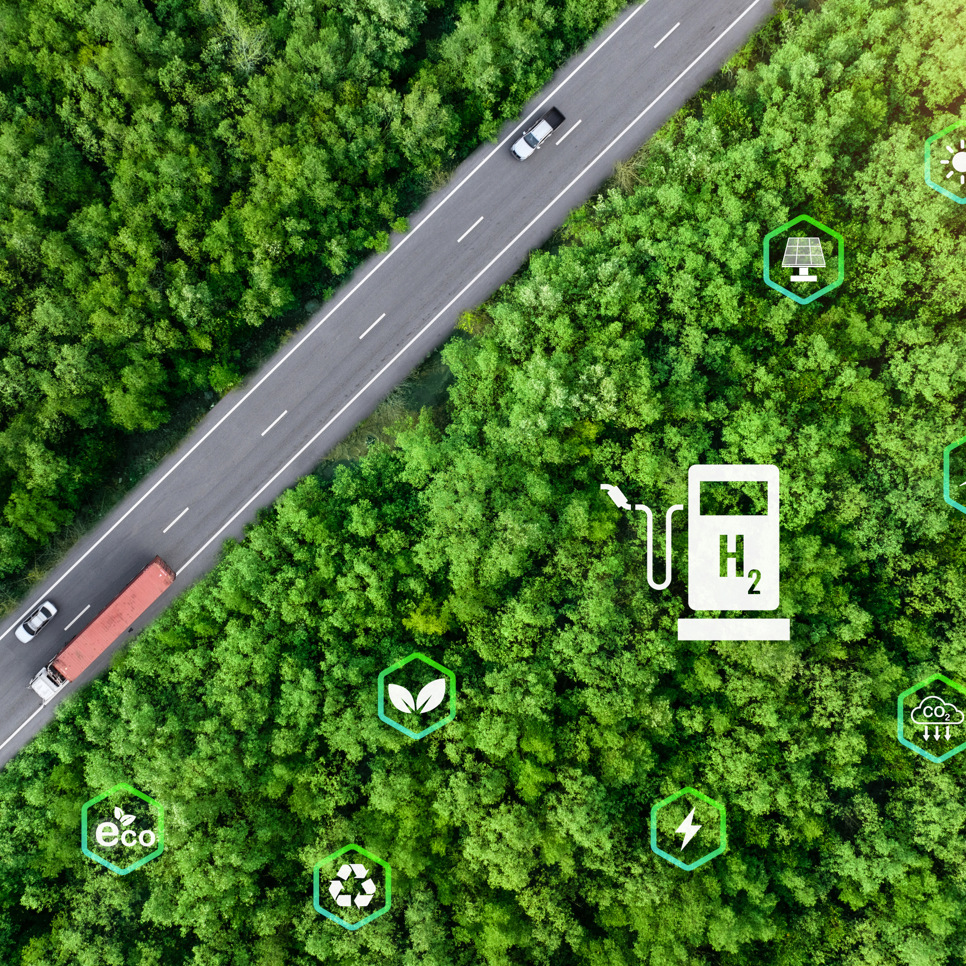 En flygbild av en skog med en bil på vägen.