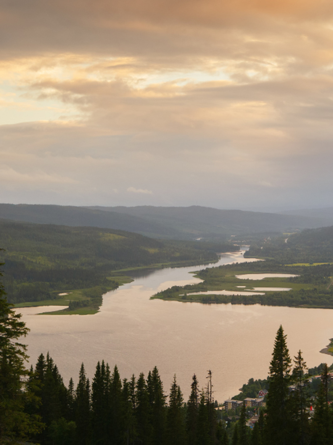 En utsikt över en flod från en kulle.
