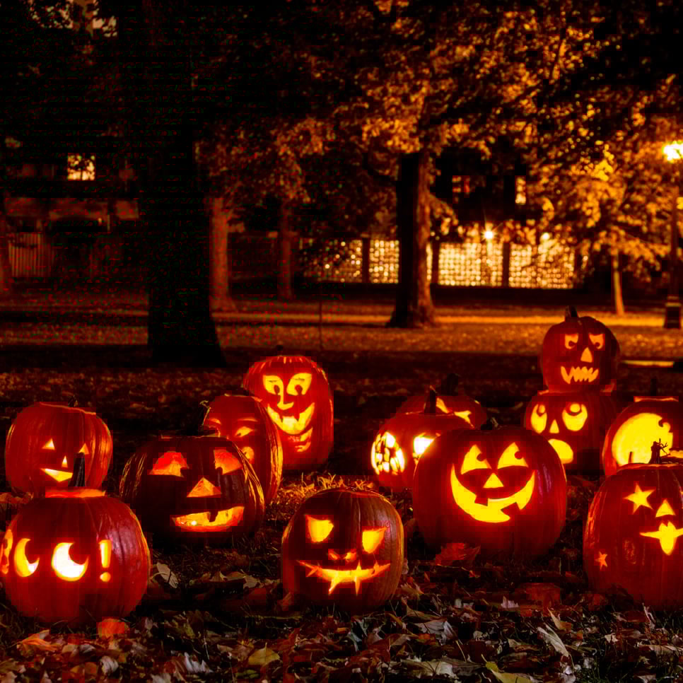 En grupp snidade pumpor som sitter på löv.