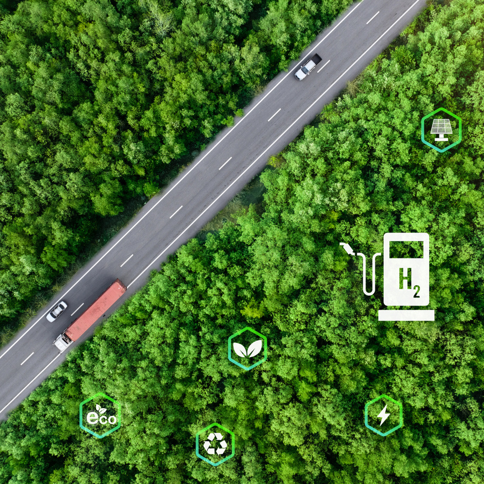 En flygbild av en skog med en bil på vägen.