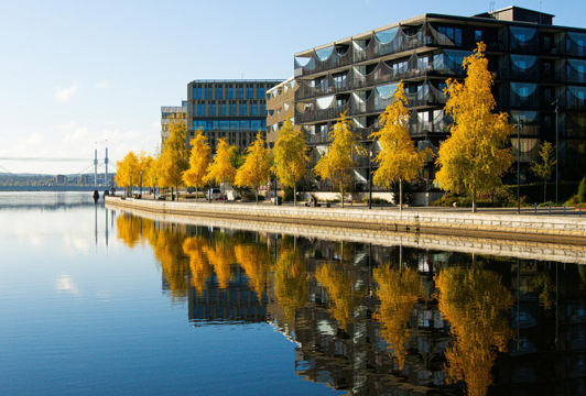 Så jobbar Svensk Handel med stads- och platsutveckling