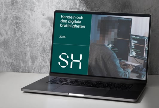 Digital brottslighet