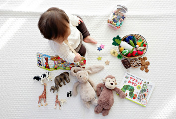 Toy Safety Regulation