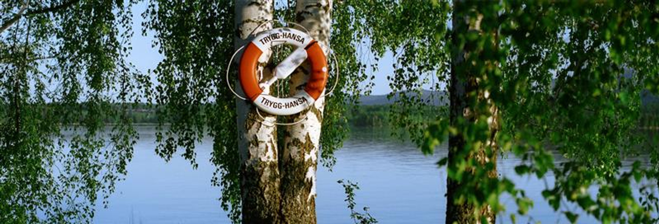 Två bilder av ett träd med en livboj på.