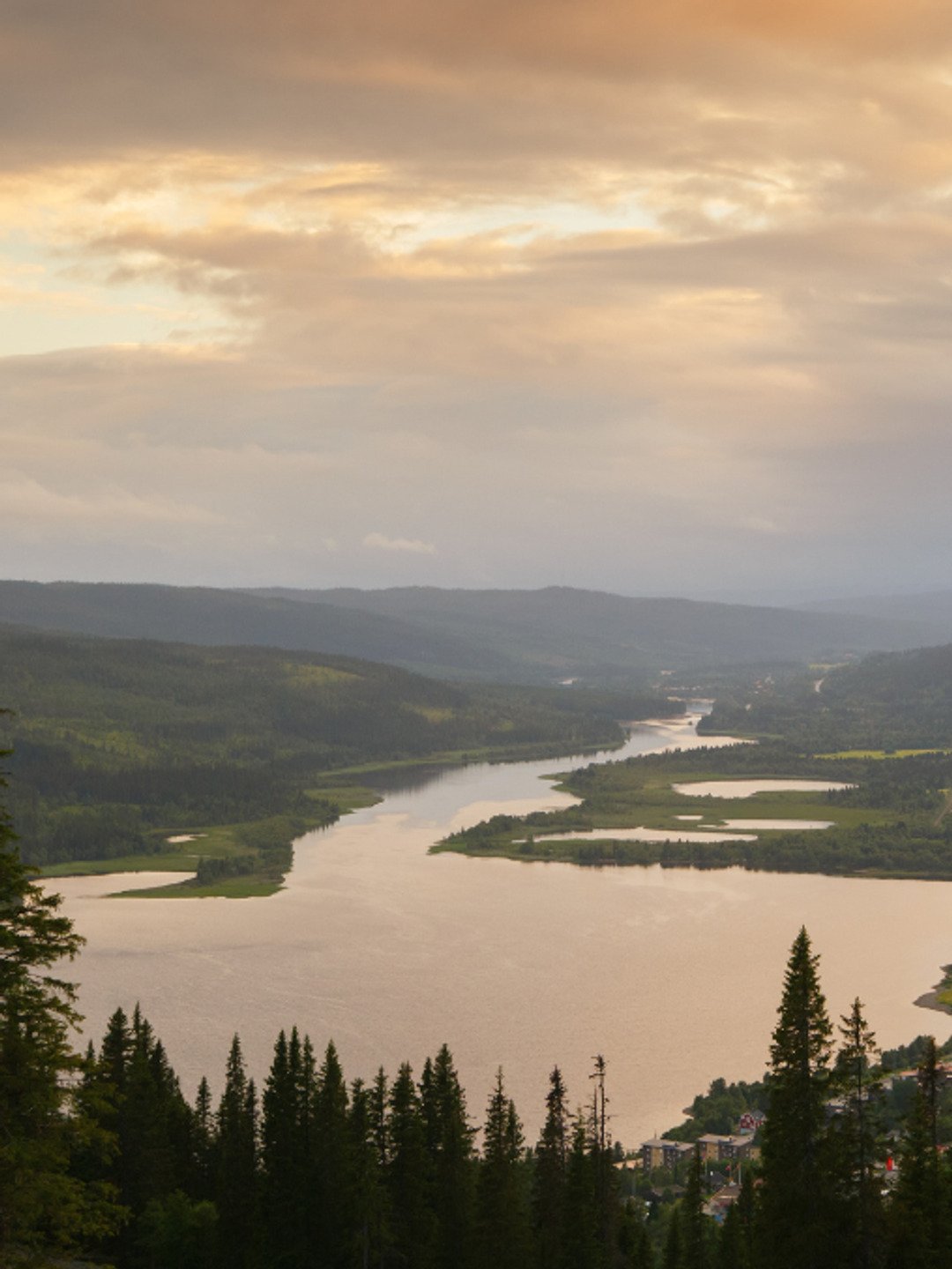 En utsikt över en flod från en kulle.