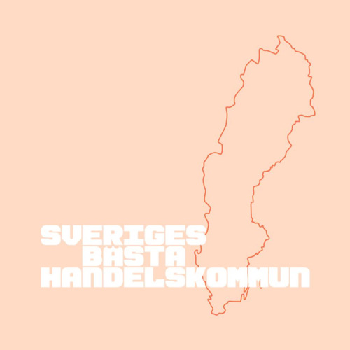 En karta över sverige.