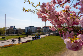 Svensk Handel driver handelns frågor i hela landet