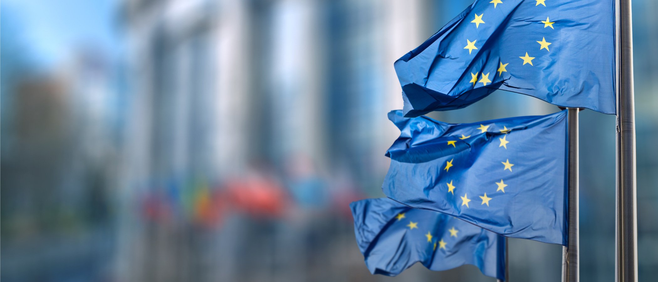 Två flaggor med Europeiska unionen på.