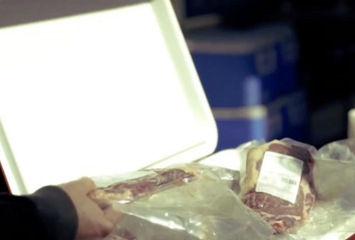 Säkerhetsveckan – vad tar vi med oss?