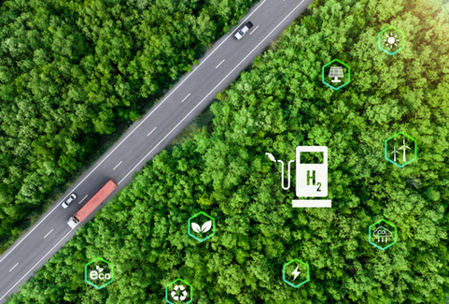 En flygbild av en skog med en bil på vägen.