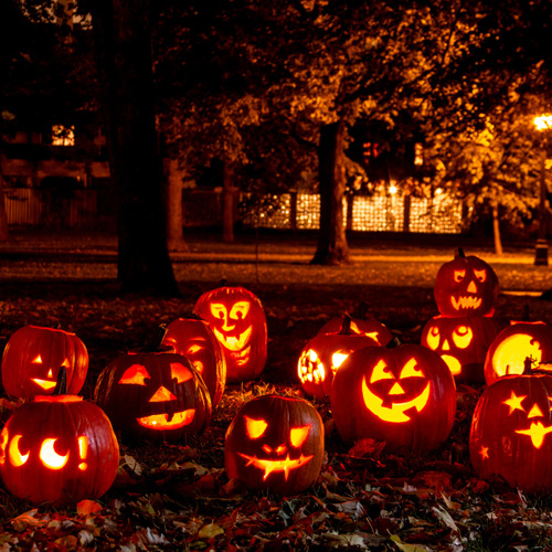 En grupp snidade pumpor som sitter på löv.