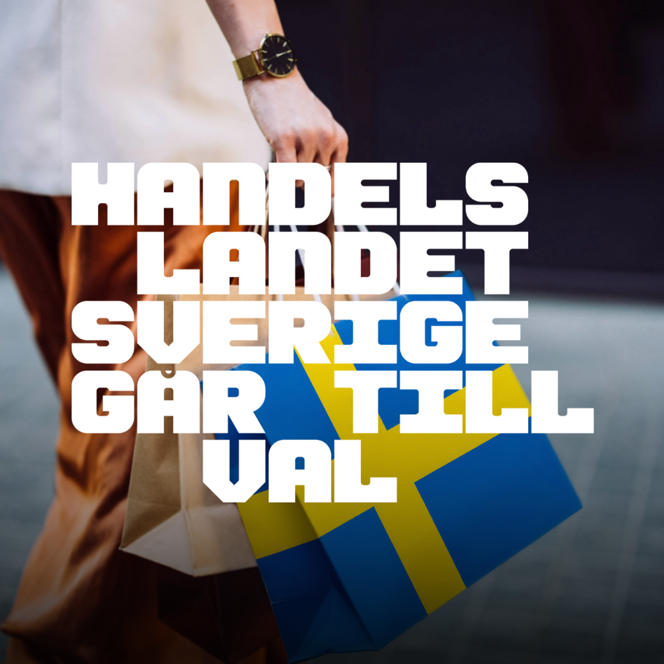 En person som håller i en shoppingväska och en shoppingväska.