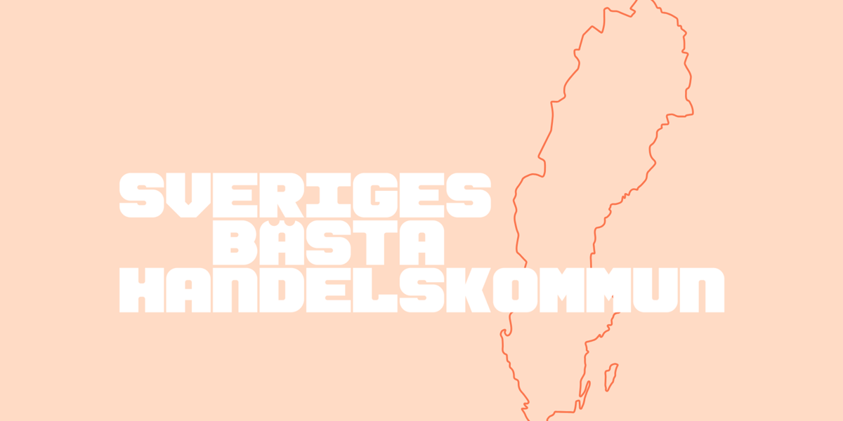 En karta över landet sverige med namnen.