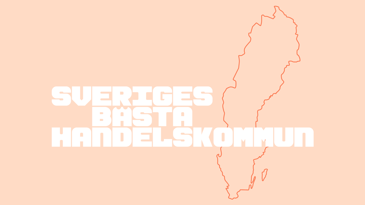 En karta över landet sverige med namnen.